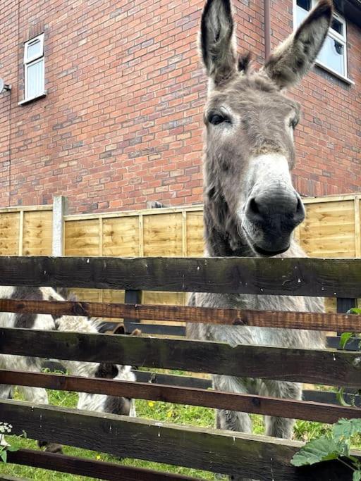 4 Bedroom - Sleep 9 Home In Cheadle Staffordshire - Alton Towers Polar Express Dimmingsdale Peak District Trentham Gardens Water World Ngoại thất bức ảnh